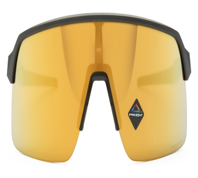 Oakley  OO9463