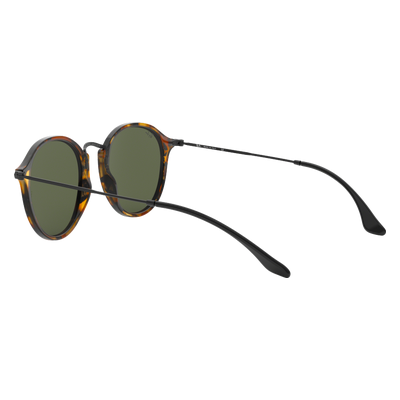 Ray-Ban RB2447
