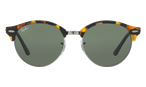 RAY-BAN 0RB4246 1157 5119