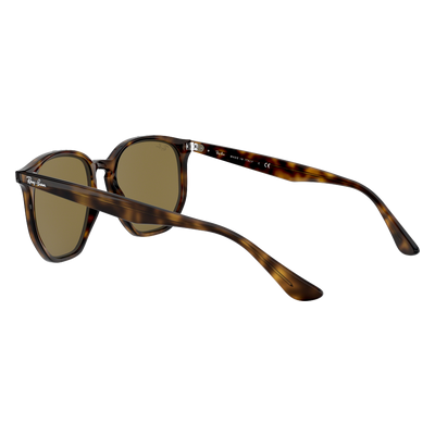 Ray-Ban RB4306
