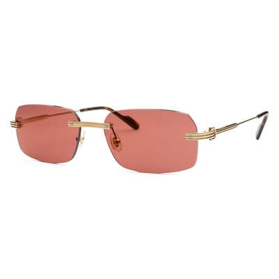 Cartier CT0271S