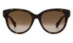 Schmetterlingsförmige Cartier Sonnenbrille (havanna) Cartier CT0506S 002 5519
