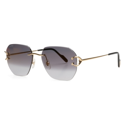 Signature C De Cartier CT0394S