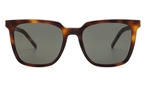 Trapezförmige Saint Laurent Sonnenbrille (havanna) Saint Laurent SLM146 003 5419