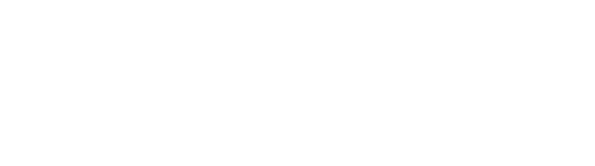 Dior Logo